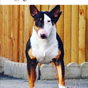 Meet your Posher, Laurie